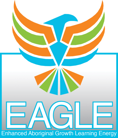 Zedi EAGLE program Zedi EAGLE program