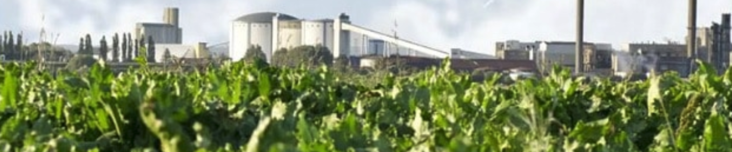 Food producer gains with machine health monitoring