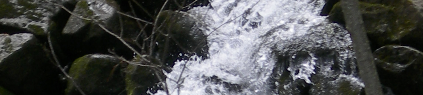 Remote water supply and treatment through data and analytics
