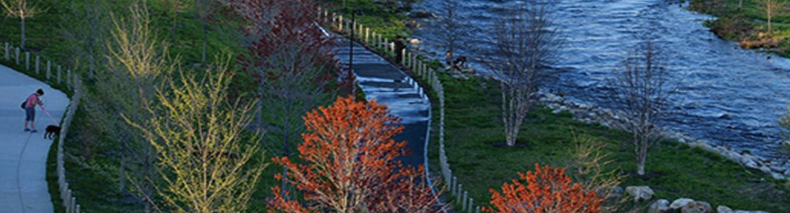 City storm water run off