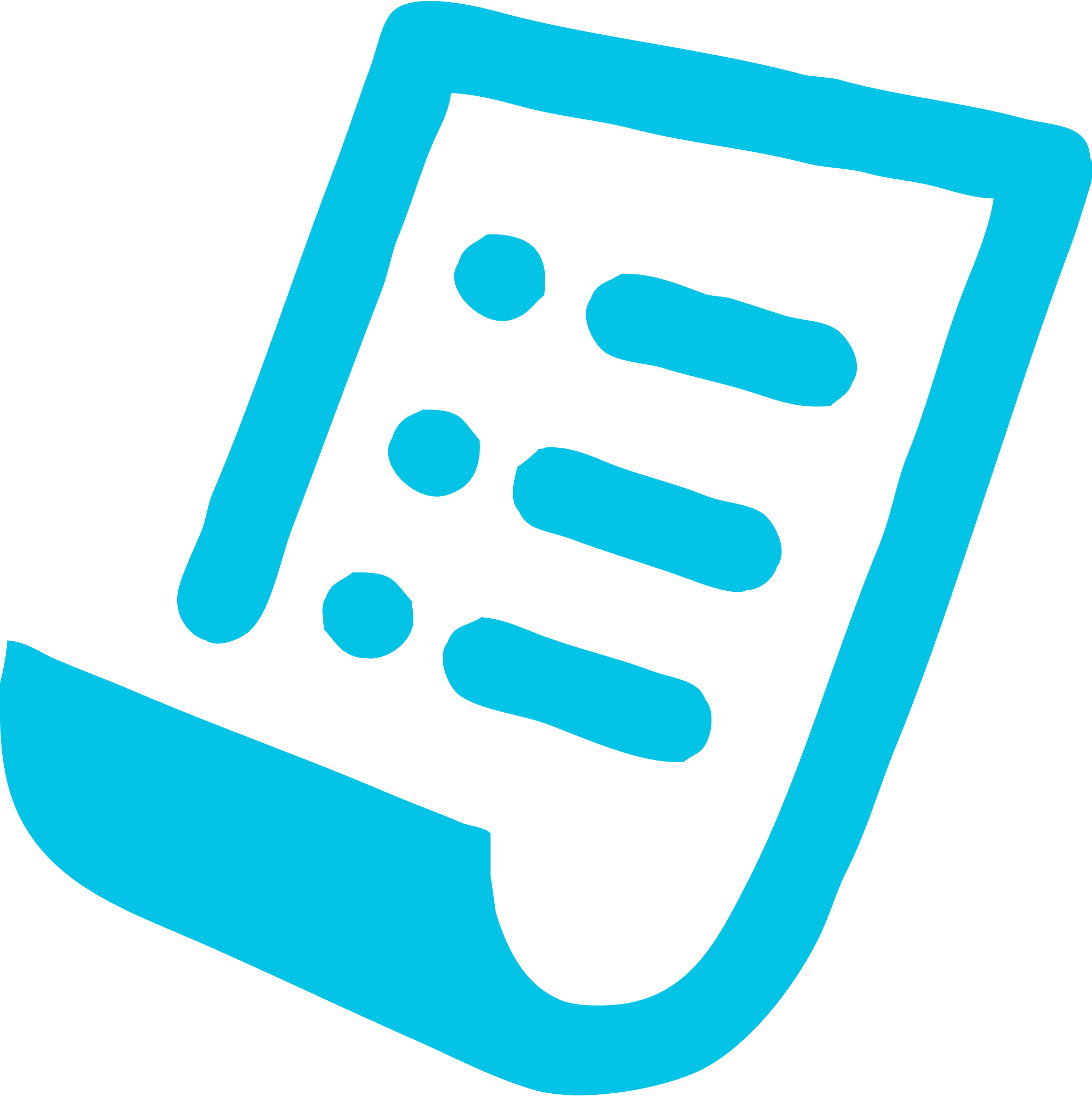 Checklist_Icon